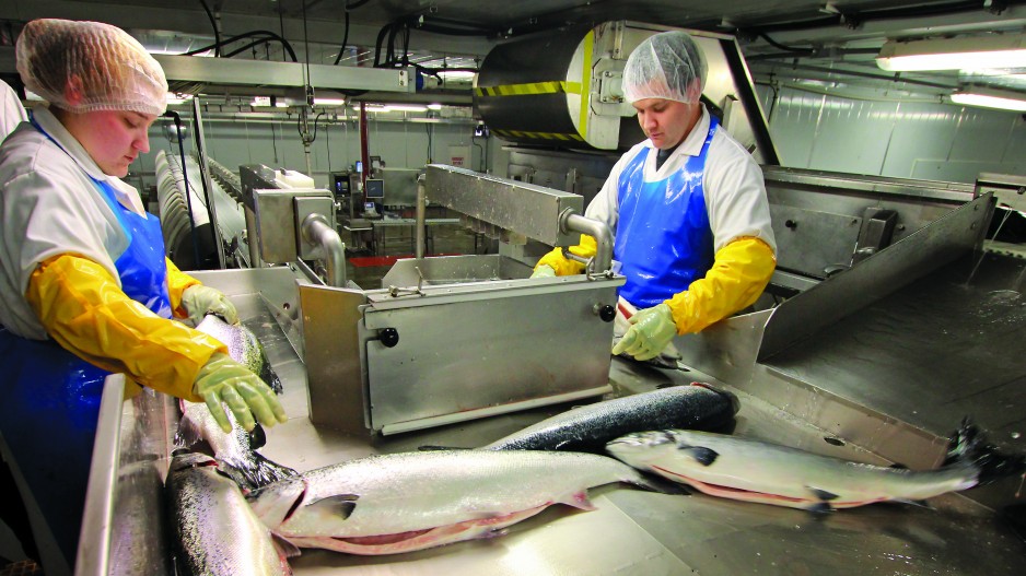 Audit máy dò kim loại thủy sản: Những lỗi khiến nhà máy bị đánh rớt