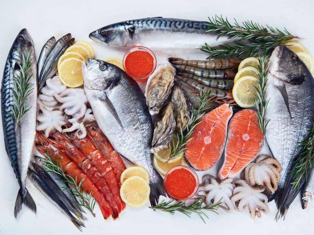 Máy dò kim loại thủy sản đông lạnh hoạt động kém: Nguyên nhân ít ai để ý