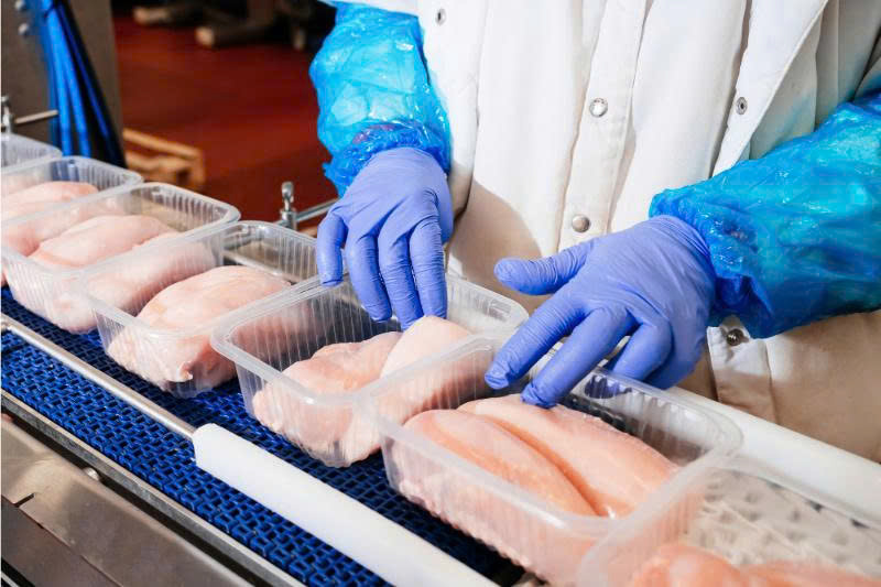 Máy dò kim loại cho thủy sản xuất khẩu – Doanh nghiệp FDI cần gì để qua audit?